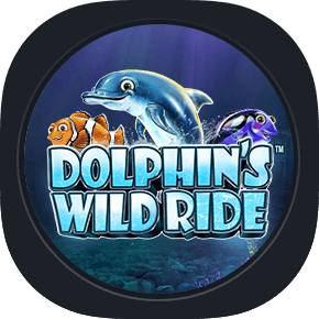 Dolphin's Wild Ride