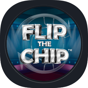 Flip The Chip